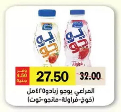 available at رويال هاوس in Egypt - القاهرة
