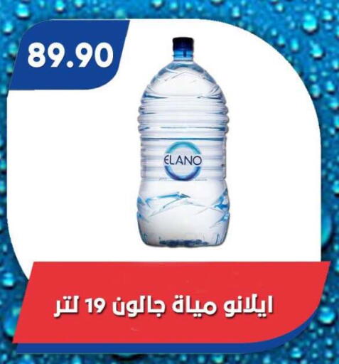 available at Bassem Market in Egypt - Cairo