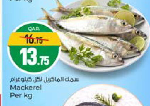 available at Paris Hypermarket in Qatar - Umm Salal