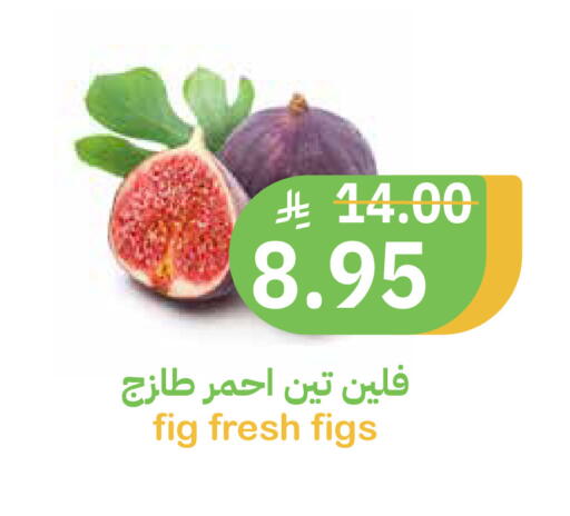 Fig available at Qateba Markets in KSA, Saudi Arabia, Saudi - Buraidah