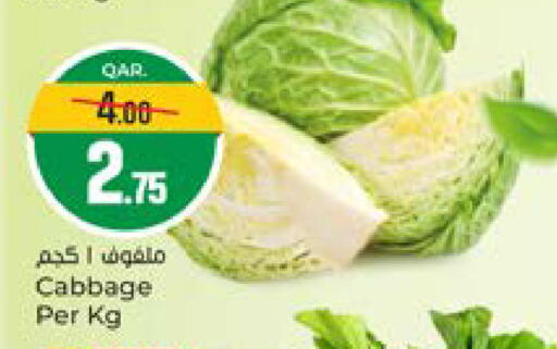 Cabbage available at باريس هايبرماركت in قطر - الدوحة