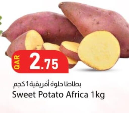 Sweet Potato available at دانا ماركت in قطر - الريان