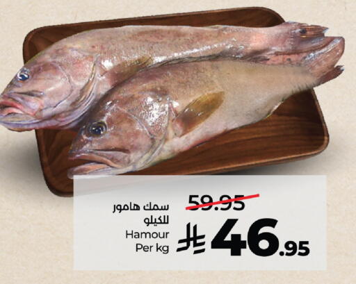 available at لولو هايبرماركت in مملكة العربية السعودية, السعودية, سعودية - مكة المكرمة