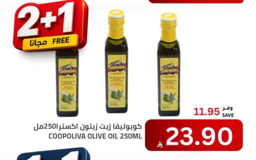 available at Astra Markets in KSA, Saudi Arabia, Saudi - Tabuk