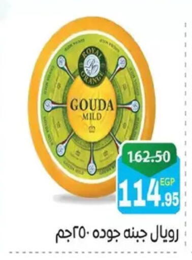 available at Zaher Dairy in Egypt - Cairo