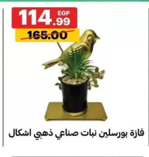 available at الحبيب ماركت in Egypt - القاهرة