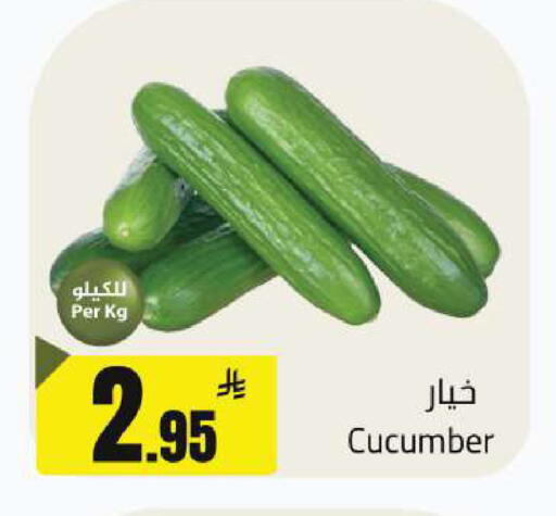 Cucumber available at مخازن هايبرماركت in مملكة العربية السعودية, السعودية, سعودية - بريدة