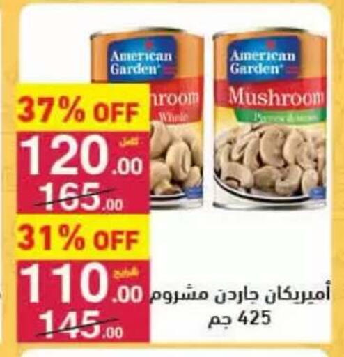 Mushroom available at محمود الفار in Egypt - القاهرة