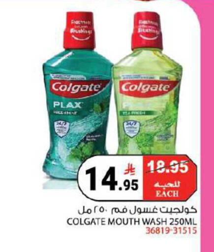 available at House Care in KSA, Saudi Arabia, Saudi - Mecca