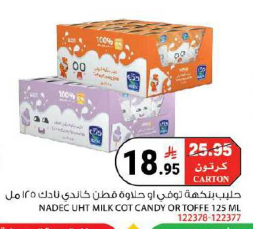 available at House Care in KSA, Saudi Arabia, Saudi - Mecca