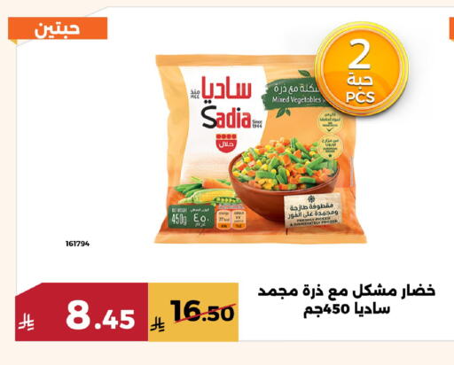 available at حدائق الفرات in مملكة العربية السعودية, السعودية, سعودية - مكة المكرمة