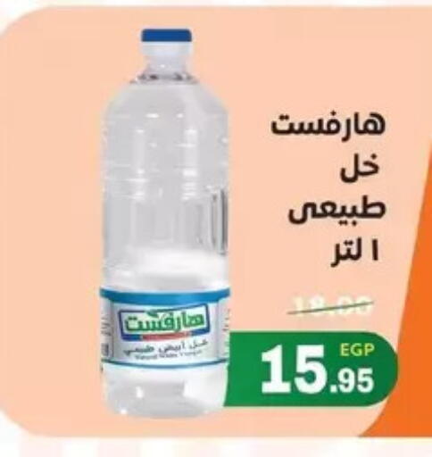 available at Zaher Dairy in Egypt - Cairo