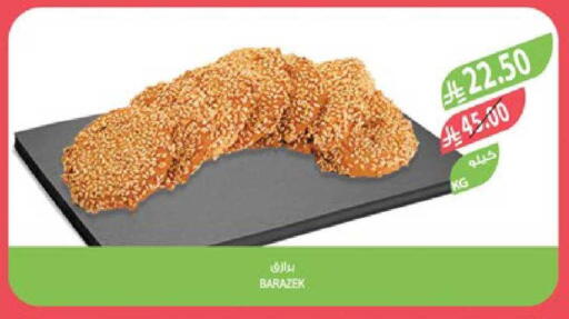 available at المزرعة in مملكة العربية السعودية, السعودية, سعودية - تبوك