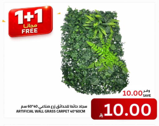 available at أسواق أسترا in مملكة العربية السعودية, السعودية, سعودية - تبوك