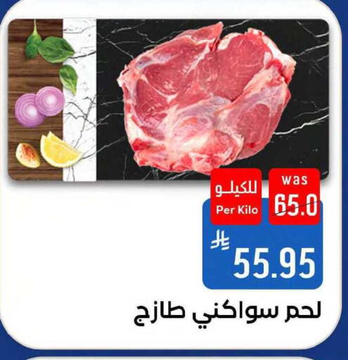 available at شبرا الطائف in مملكة العربية السعودية, السعودية, سعودية - مكة المكرمة