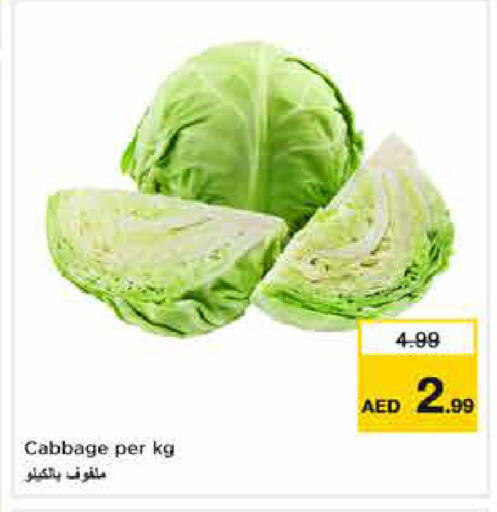 Cabbage available at نستو هايبرماركت in الإمارات العربية المتحدة , الامارات - دبي
