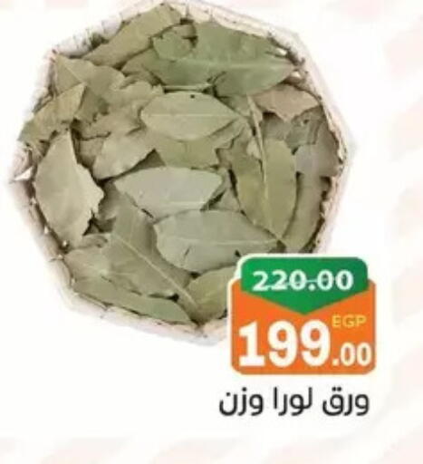 available at زاهر in Egypt - القاهرة