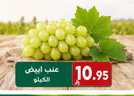 available at جوول ماركت in مملكة العربية السعودية, السعودية, سعودية - الخبر‎