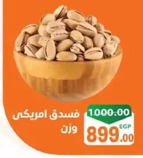 available at زاهر in Egypt - القاهرة
