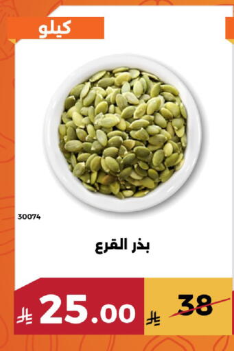 available at Forat Garden in KSA, Saudi Arabia, Saudi - Mecca