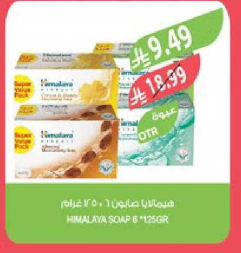 available at المزرعة in مملكة العربية السعودية, السعودية, سعودية - نجران
