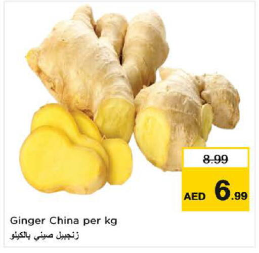 Ginger from China available at لاست تشانس in الإمارات العربية المتحدة , الامارات - ٱلْفُجَيْرَة‎