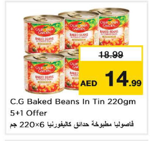 Tomato available at نستو هايبرماركت in الإمارات العربية المتحدة , الامارات - الشارقة / عجمان