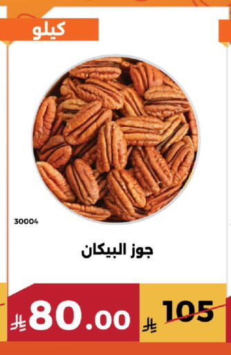 available at حدائق الفرات in مملكة العربية السعودية, السعودية, سعودية - مكة المكرمة