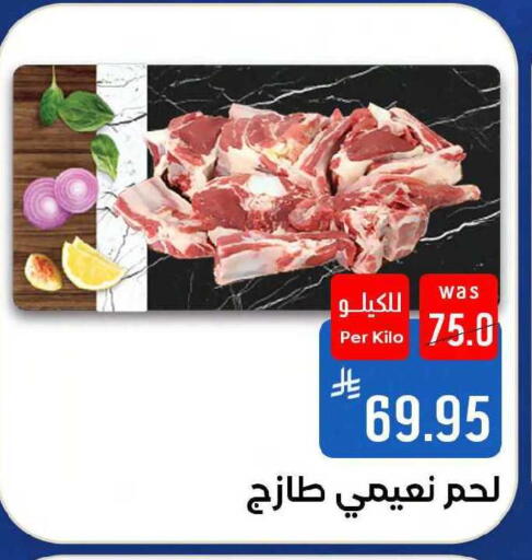 available at شبرا الطائف in مملكة العربية السعودية, السعودية, سعودية - مكة المكرمة