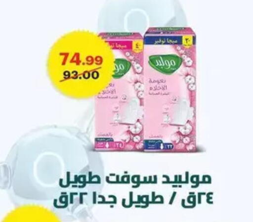 available at الحبيب ماركت in Egypt - القاهرة