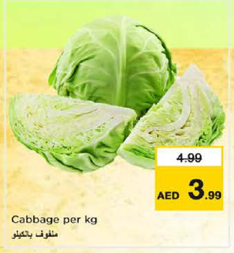 Cabbage available at نستو هايبرماركت in الإمارات العربية المتحدة , الامارات - الشارقة / عجمان