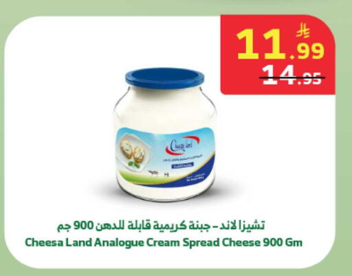 available at Al Raya in KSA, Saudi Arabia, Saudi - Abha