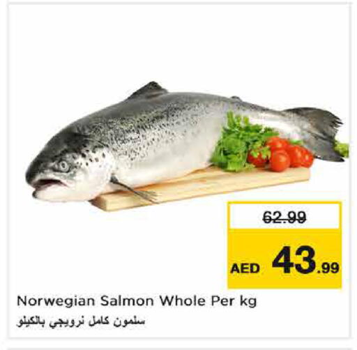 available at نستو هايبرماركت in الإمارات العربية المتحدة , الامارات - دبي