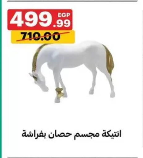 available at الحبيب ماركت in Egypt - القاهرة