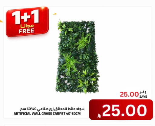 available at أسواق أسترا in مملكة العربية السعودية, السعودية, سعودية - تبوك