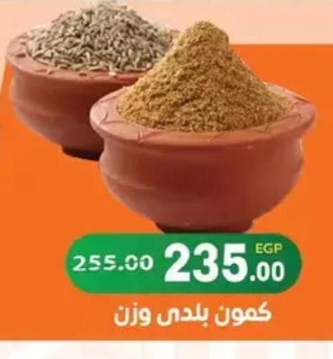 available at زاهر in Egypt - القاهرة