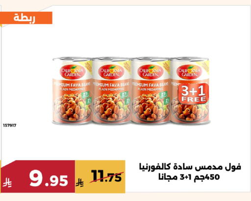 available at Forat Garden in KSA, Saudi Arabia, Saudi - Mecca