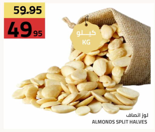 available at Astra Markets in KSA, Saudi Arabia, Saudi - Tabuk