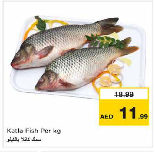 available at نستو هايبرماركت in الإمارات العربية المتحدة , الامارات - دبي