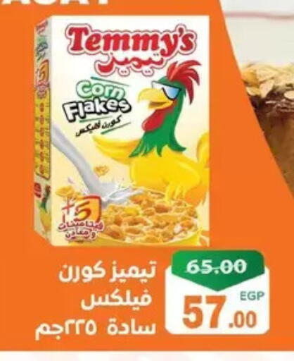 available at Zaher Dairy in Egypt - Cairo