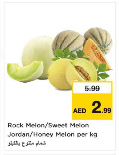 Melon from Jordan available at لاست تشانس in الإمارات العربية المتحدة , الامارات - ٱلْفُجَيْرَة‎