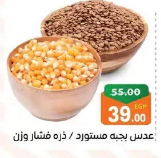 available at Zaher Dairy in Egypt - Cairo