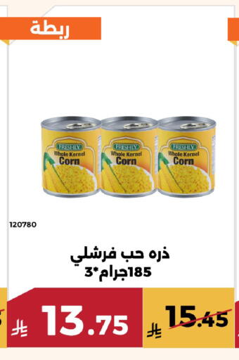 available at Forat Garden in KSA, Saudi Arabia, Saudi - Mecca