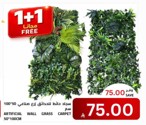 available at أسواق أسترا in مملكة العربية السعودية, السعودية, سعودية - تبوك