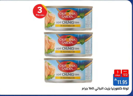 available at شبرا الطائف in مملكة العربية السعودية, السعودية, سعودية - مكة المكرمة