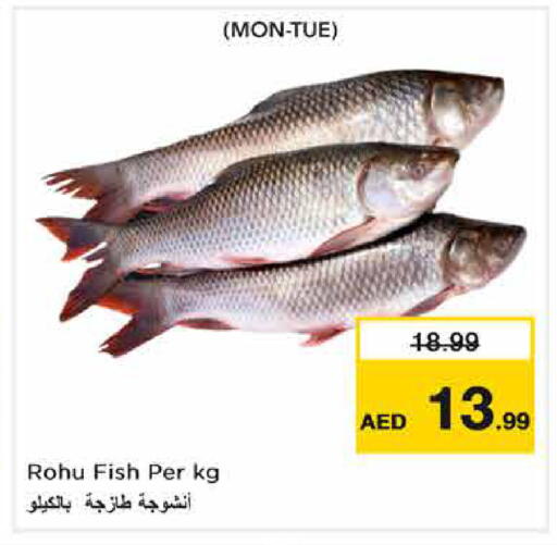 available at نستو هايبرماركت in الإمارات العربية المتحدة , الامارات - دبي