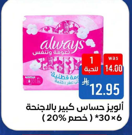 available at Shubra AlTaif in KSA, Saudi Arabia, Saudi - Mecca