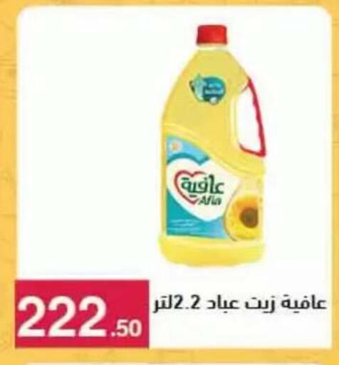 available at محمود الفار in Egypt - القاهرة