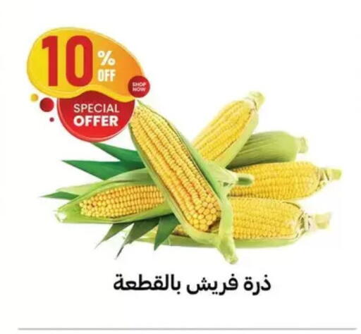 available at الحبيب ماركت in Egypt - القاهرة