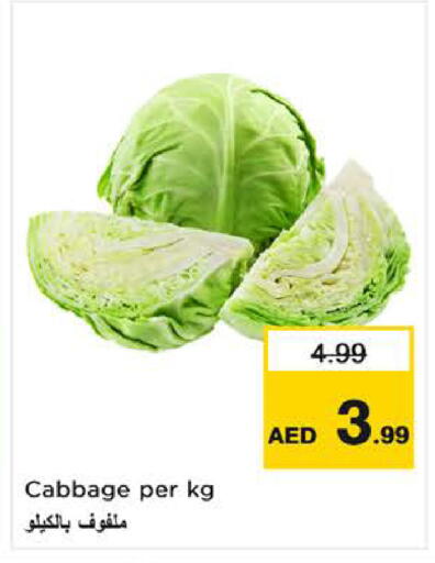 Cabbage available at نستو هايبرماركت in الإمارات العربية المتحدة , الامارات - الشارقة / عجمان
